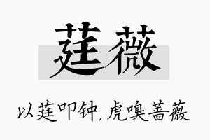 莛薇名字的寓意及含义