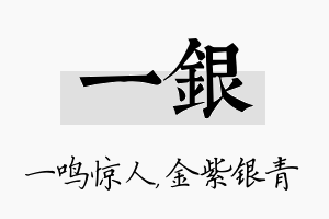 一银名字的寓意及含义