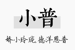 小普名字的寓意及含义