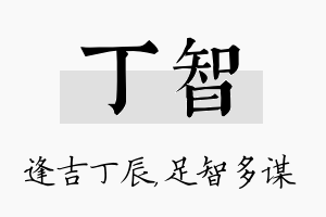 丁智名字的寓意及含义