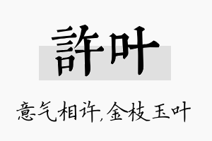 许叶名字的寓意及含义