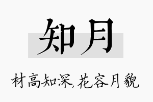 知月名字的寓意及含义