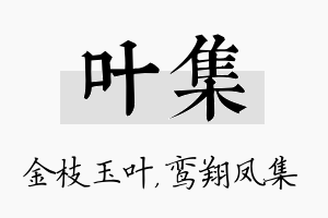 叶集名字的寓意及含义