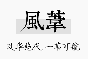 风苇名字的寓意及含义