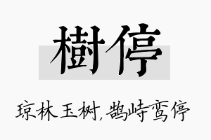 树停名字的寓意及含义