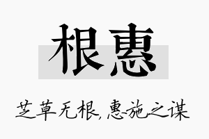 根惠名字的寓意及含义