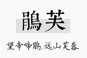 鹃芙名字的寓意及含义