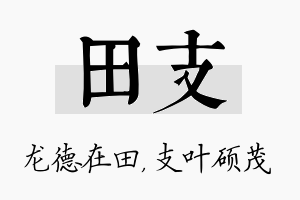 田支名字的寓意及含义