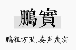 鹏实名字的寓意及含义