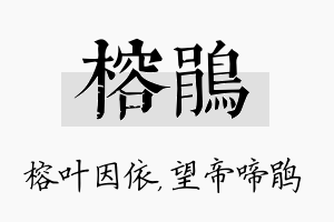 榕鹃名字的寓意及含义