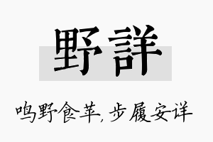 野详名字的寓意及含义