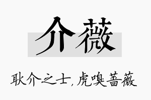 介薇名字的寓意及含义