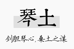 琴土名字的寓意及含义