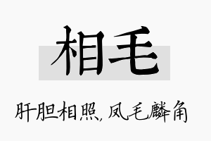 相毛名字的寓意及含义