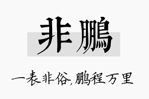 非鹏名字的寓意及含义