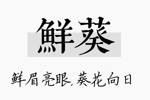 鲜葵名字的寓意及含义