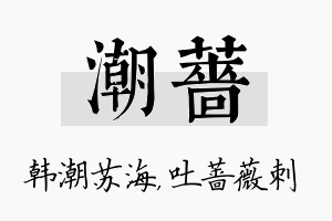 潮蔷名字的寓意及含义