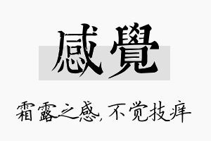 感觉名字的寓意及含义