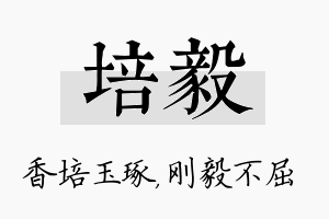 培毅名字的寓意及含义