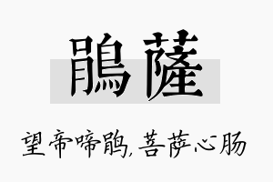 鹃萨名字的寓意及含义