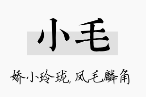 小毛名字的寓意及含义