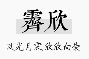 霁欣名字的寓意及含义