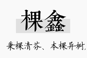 棵鑫名字的寓意及含义