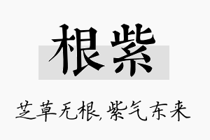 根紫名字的寓意及含义