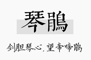 琴鹃名字的寓意及含义