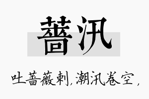 蔷汛名字的寓意及含义