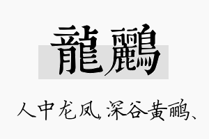 龙鹂名字的寓意及含义