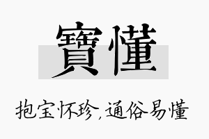 宝懂名字的寓意及含义