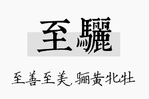 至骊名字的寓意及含义