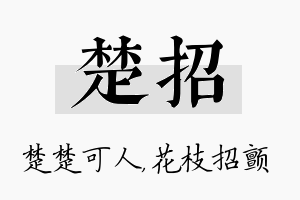 楚招名字的寓意及含义