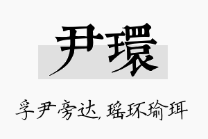 尹环名字的寓意及含义