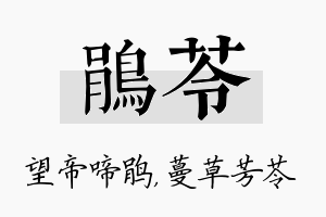 鹃苓名字的寓意及含义