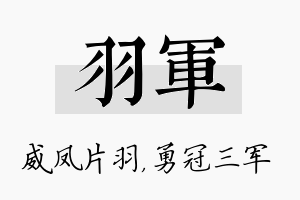 羽军名字的寓意及含义