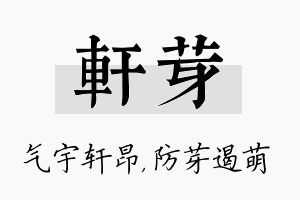 轩芽名字的寓意及含义