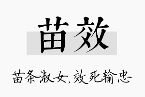 苗效名字的寓意及含义