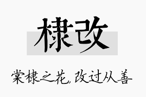 棣改名字的寓意及含义