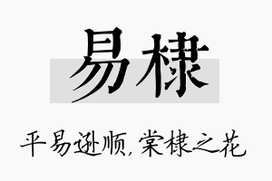 易棣名字的寓意及含义