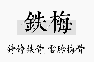 铁梅名字的寓意及含义