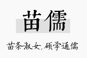 苗儒名字的寓意及含义