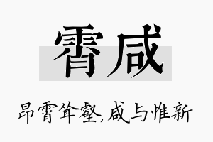 霄咸名字的寓意及含义