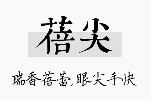 蓓尖名字的寓意及含义