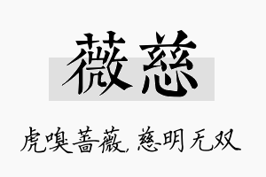 薇慈名字的寓意及含义