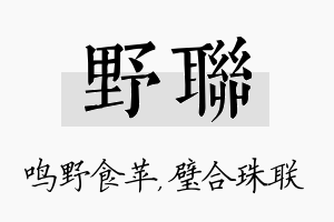 野联名字的寓意及含义