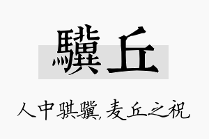 骥丘名字的寓意及含义