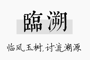 临溯名字的寓意及含义