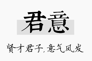 君意名字的寓意及含义